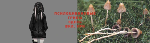 не бодяженный Алексин