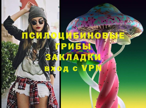 спиды Алексеевка