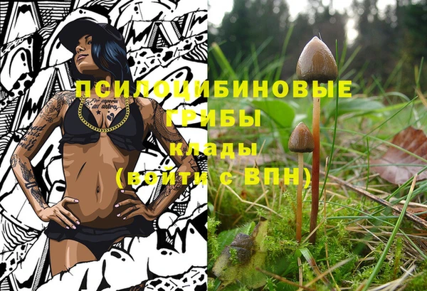 не бодяженный Алексин