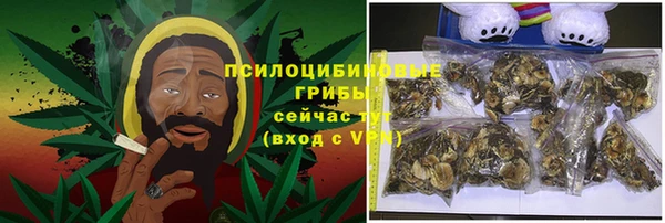 не бодяженный Алексин