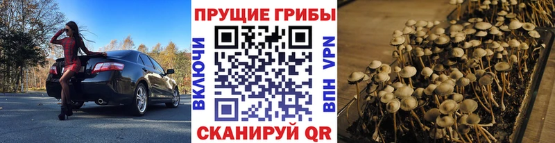 Галлюциногенные грибы MAGIC MUSHROOMS как найти Лениногорск